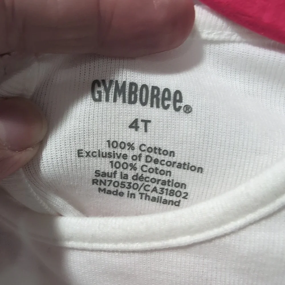 NWT Gymboree How To Be A Fairy  Long Sleeve Cottons Girls Top Sz 4T Embroidered